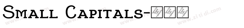 Small Capitals字体转换 Small Capitals字体转换